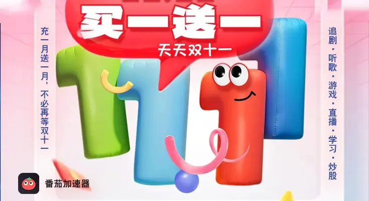 归雁加速器替代品示例