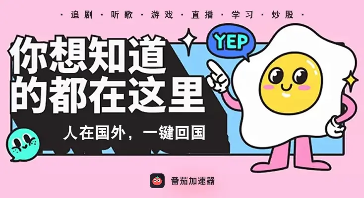 类似归雁加速器的vpn