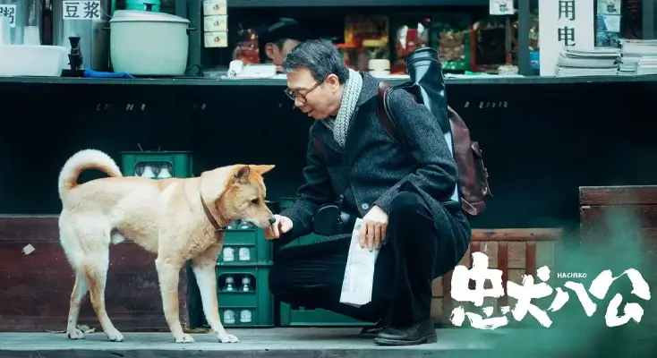 地区限制破解